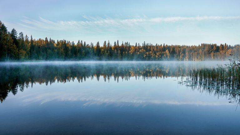 Kuinka paljon suomalaiset pelaavat rahapelejä?